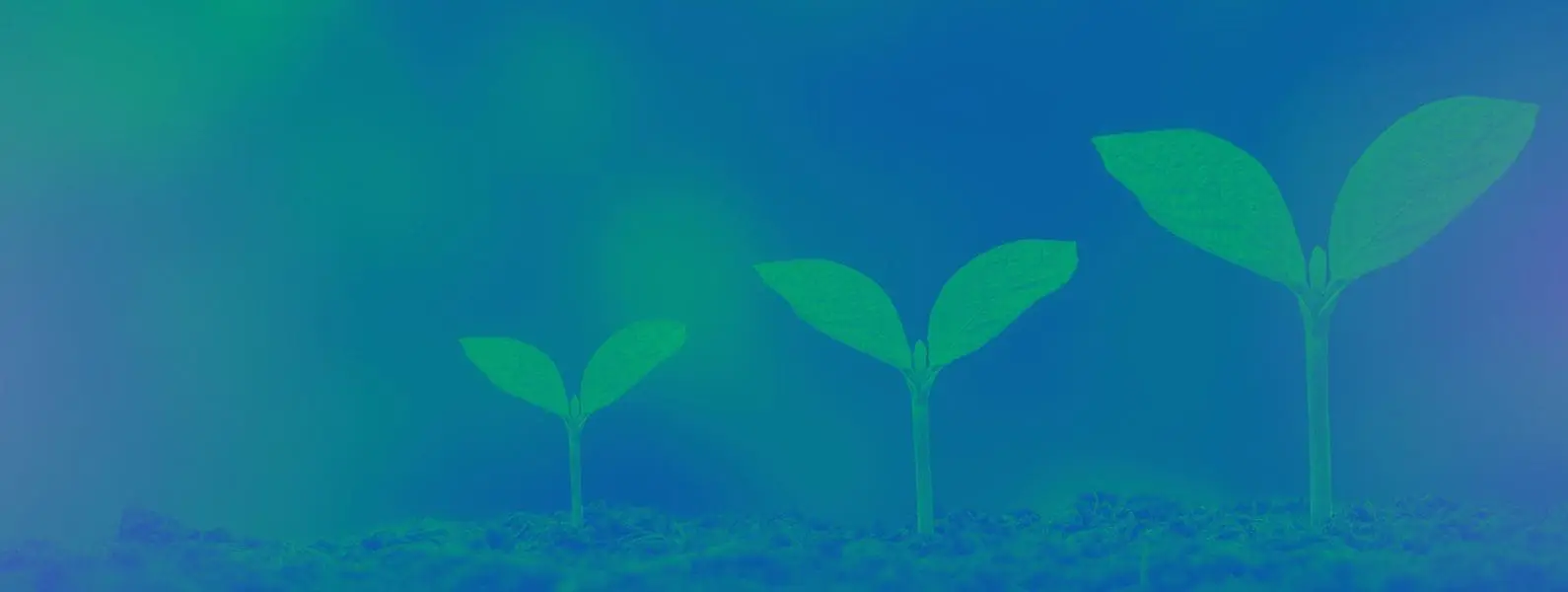 2022 ESG report (7)