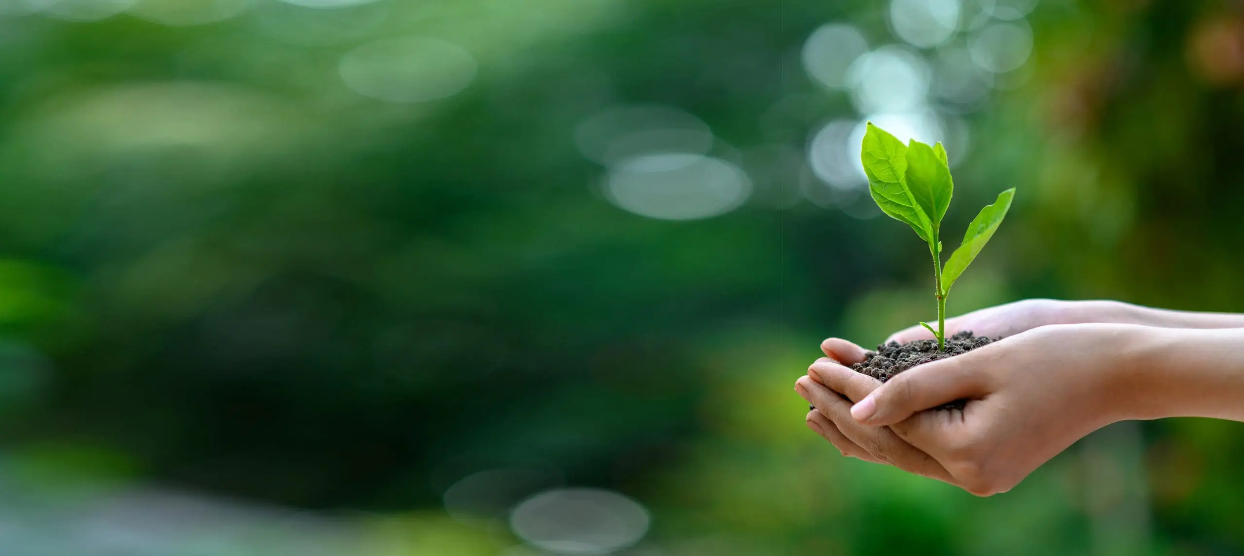Trescal announces the launch of the ‘Piantala!’ Campaign to protect biodiversity